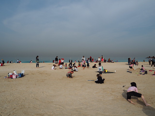 P1190098 ジュメイラ ビーチ(Jumeirah Beach)