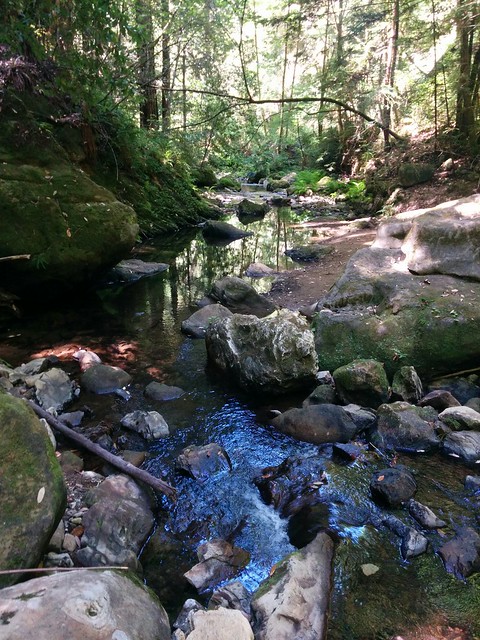Waddell Creek