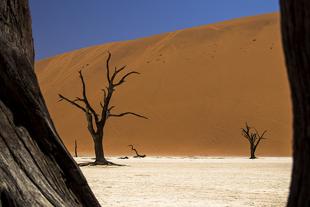 Desierto del Namib - NAMIBIA & KRUGER por libre: 21 días Very WILD (27)
