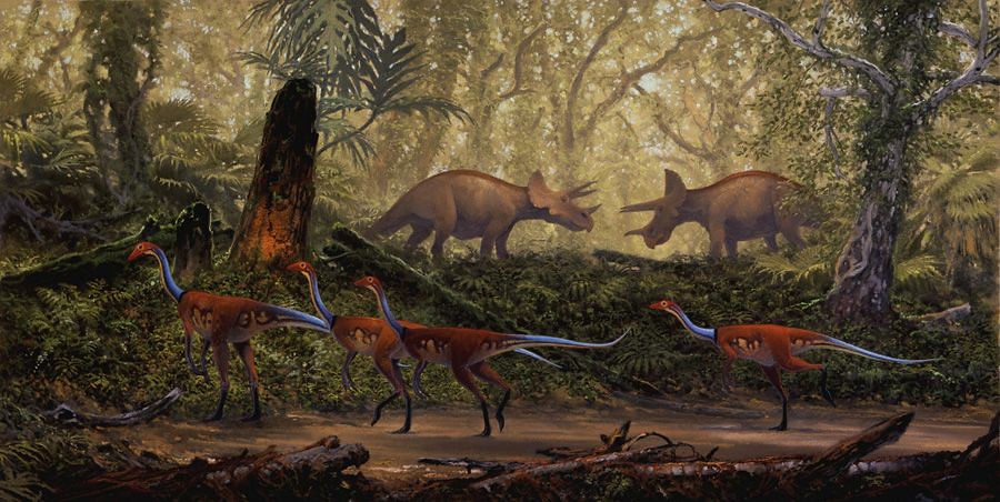Dinosaur11