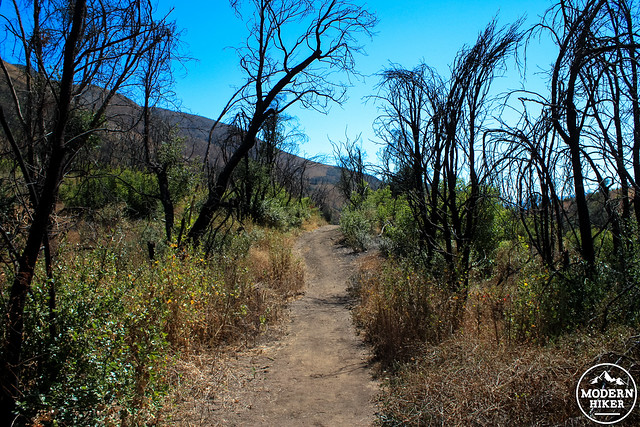 upper sycamore canyon-31