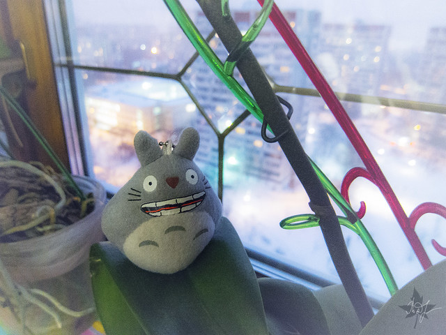 Day #344: totoro supposes that the evenings of the winter are the most beautiful