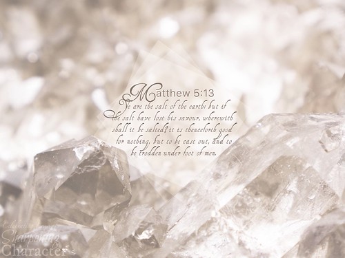 Matthew 5:13 Tablet