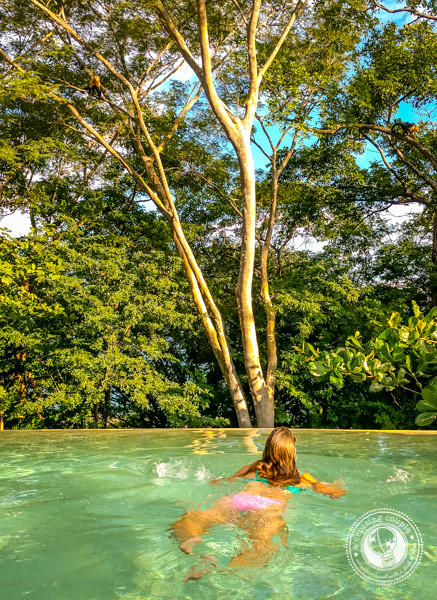 Infinity Pool With Monkeys in Costa Rica