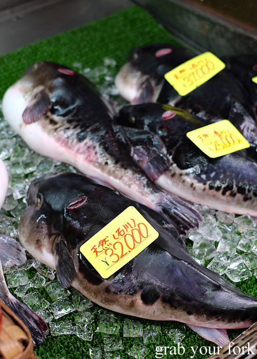Fugu puffer fish at Kuromon Ichiba Market in Osaka, Japan