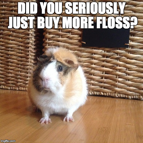 did you seriously just buy more floss?