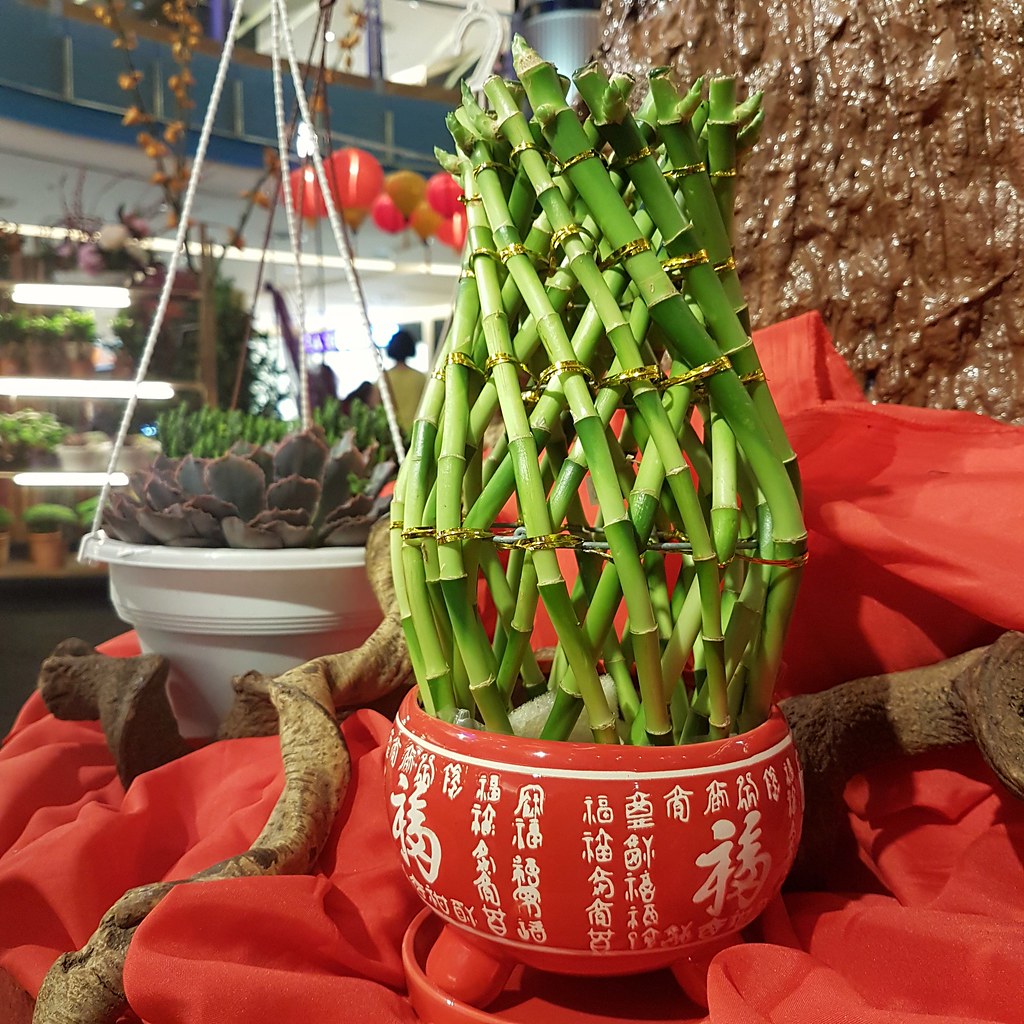 CNY Spring Flower Market @ Sunway Pyramid