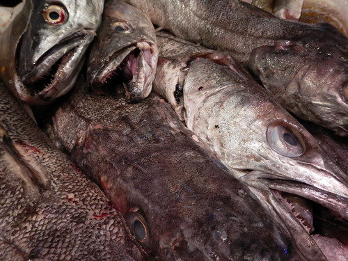 Silvery sheen of scary fish in the Cork Market, Ireland