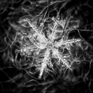 Snowflake I