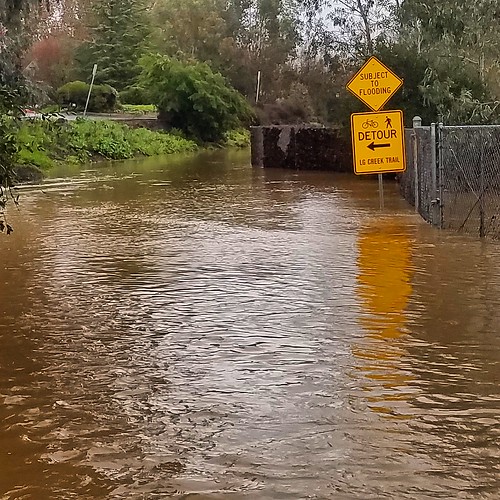Los Gatos Creek Trail flooding