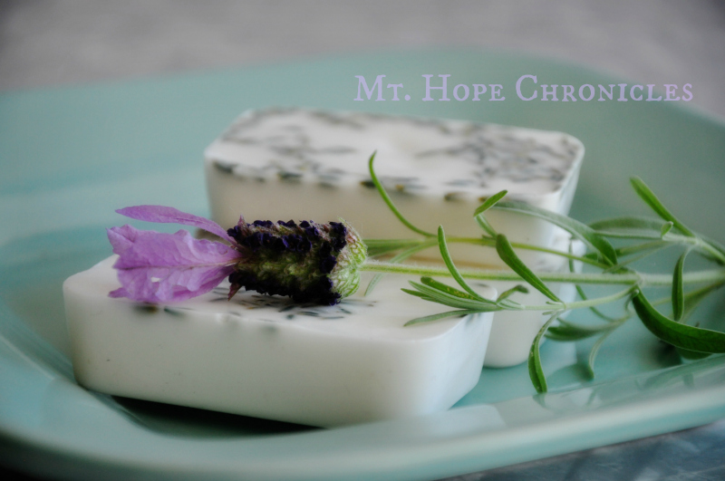 Luke's Lavender Soap @ Mt. Hope Chronicles