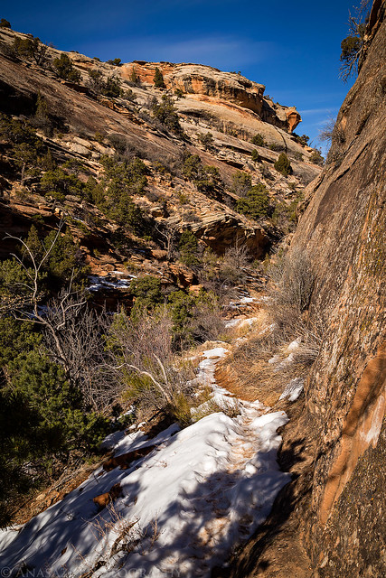Rough Canyon Trail