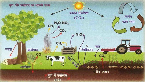 जलवायु परिवर्तन को कम करती जैविक कृषि