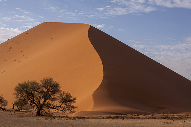 Desierto del Namib - NAMIBIA & KRUGER por libre: 21 días Very WILD (15)