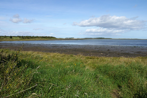 Budle Bay