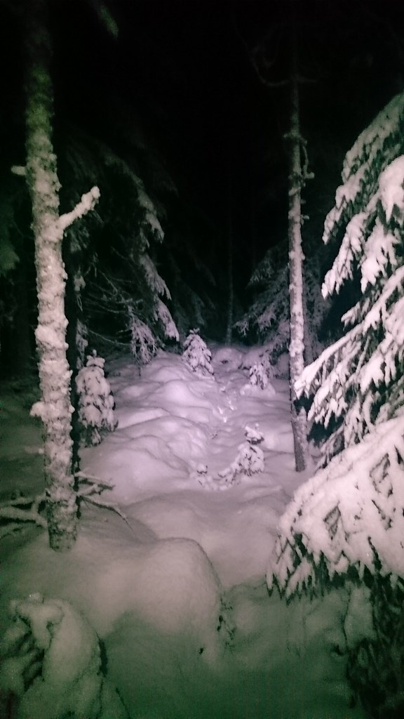 25.12. Iltalenkki lumisessa metsässä.