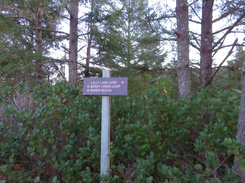 Trail signs along the Lily Lake Loop