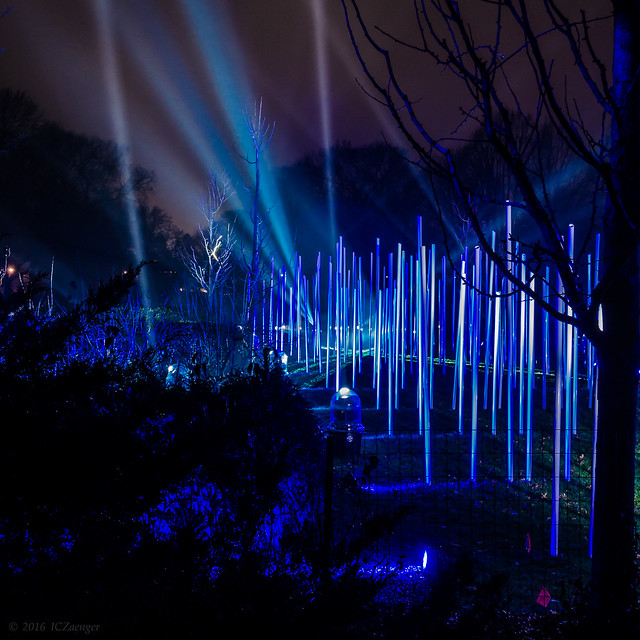 Illumination 2016 Fantasy Forest 03