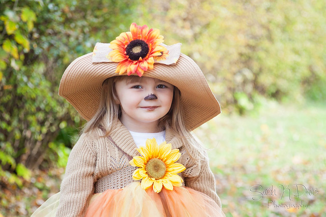 Sunflower Scarecrow
