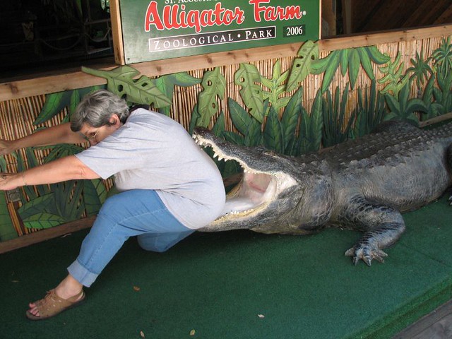 Up To My Ass In Alligators 29