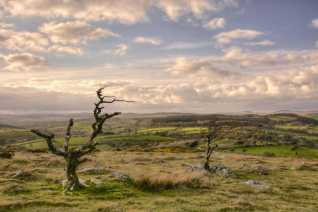 Rugged Dartmoor