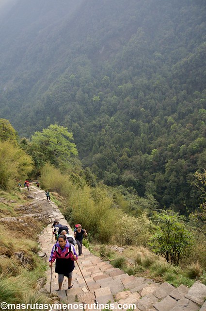 Trek ABC. De Doban (2900 m) a Jhinu (1750 m) - NEPAL 2016. Trek al Annapurna Sanctuary (ABC) (6)