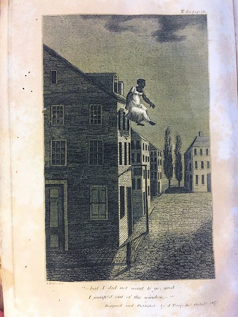 torrey 1817 illustration p42