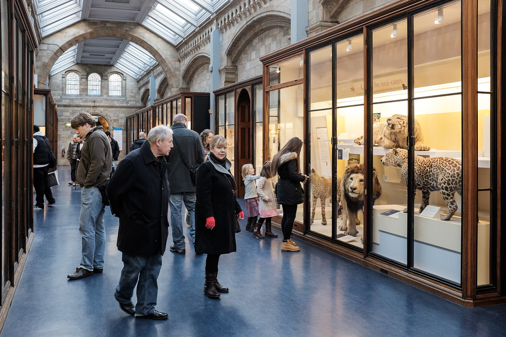 Travel and Photography | London Natural History Museum