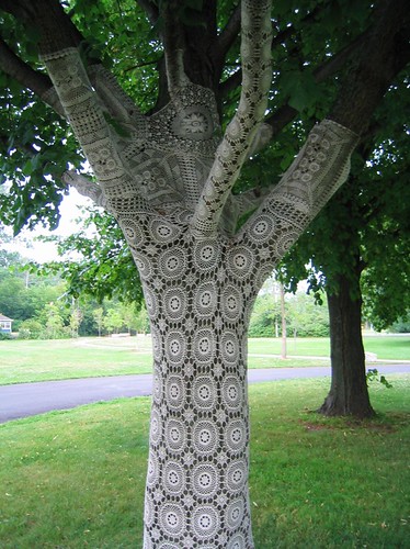 Lace Tree | Tree wrapped in lace on centre island Toronto. I… | Flickr