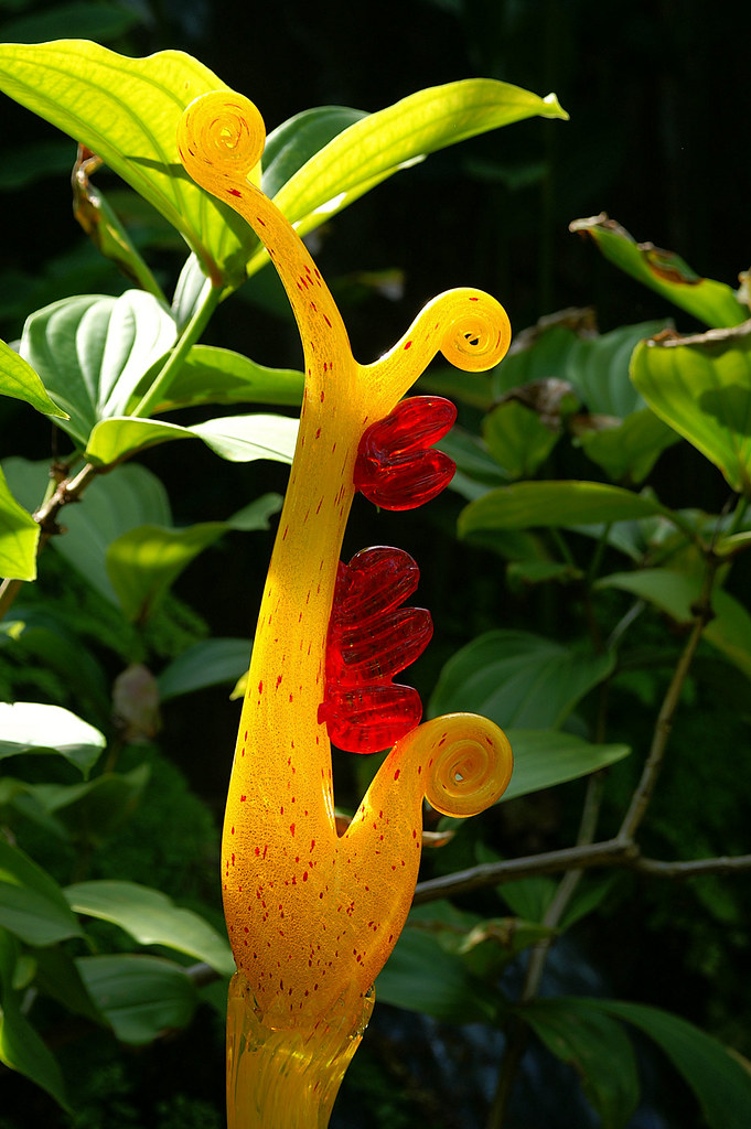 Strange Flower: Chilhuly in Miami | This is one of many ...