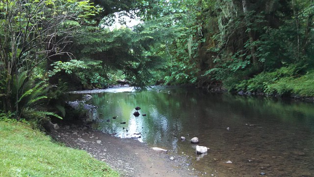 Humbug Creek