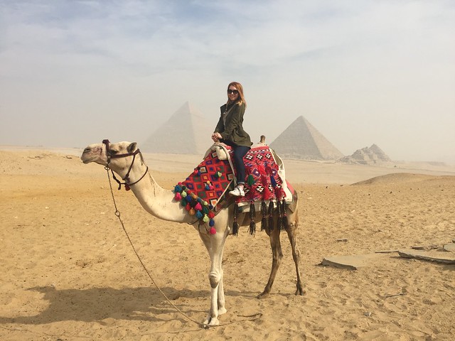 Camel + Great Pyramids :D