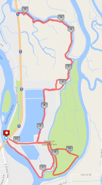Today's awesome walk, 11.55 miles in 3:50, 25,183 steps