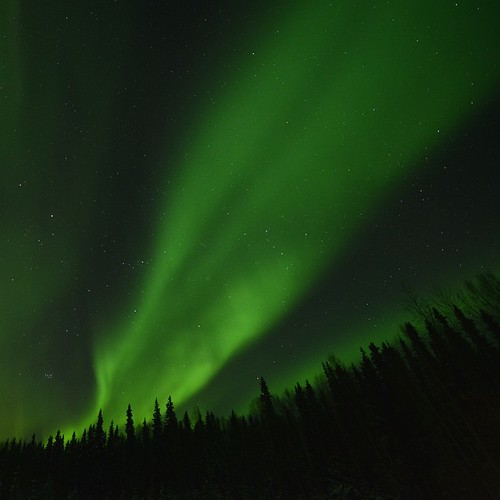 Alaska Aurora #Alaska  #PolarLights #USA #America #NorthPole #NorthernLights #Cold #snow #Ice #Fairbanks #Aurora #Snow