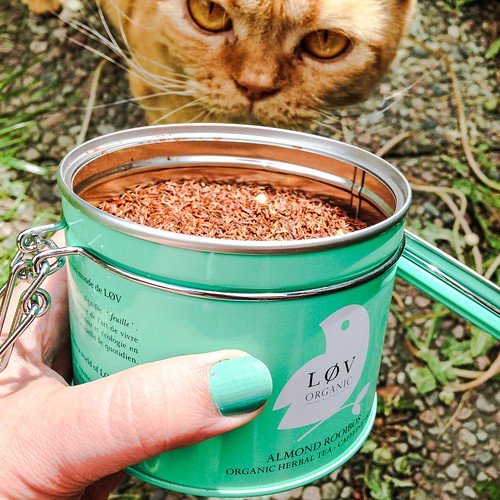 lovely organic rooibos almond tea from løv tea, june 2015 - so good even cats fight for it