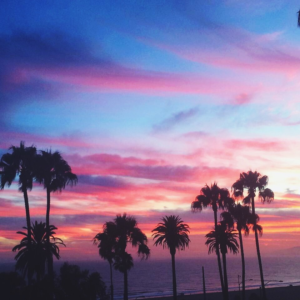 The beautiful LA.🌴 | Jennifer Hernandez | Flickr