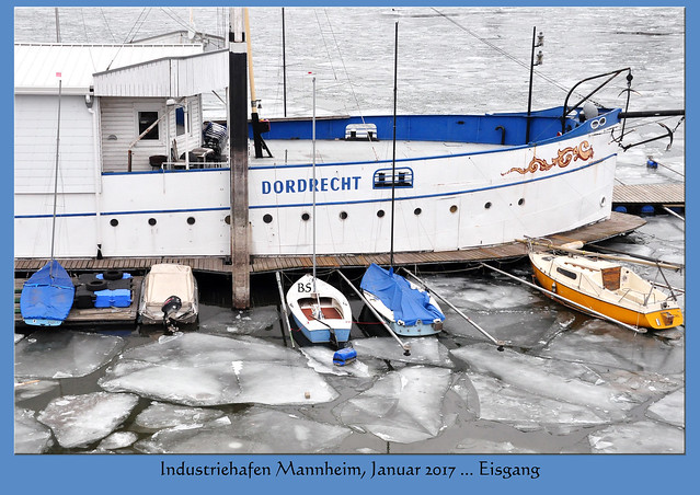 Wetter Mannheim, Januar 2017 ... Eisgang auf dem Altrhein ... Eisschollen ... Friesenheimer Insel und Industriehafen ... Fotos und Collagen: Brigitte Stolle, Mannheim