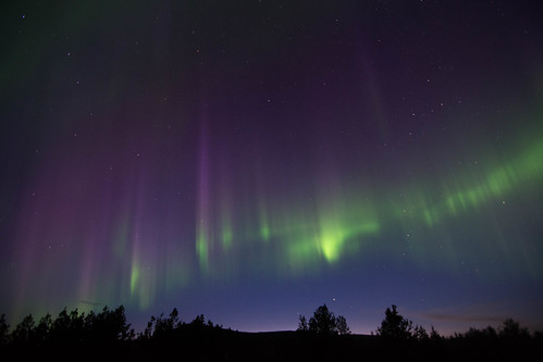 Aurora Borealis in Alberta