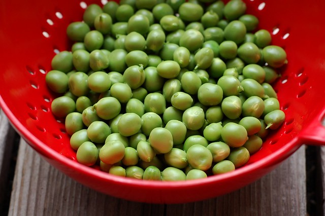 Peas out of the shell by Eve Fox, the Garden of Eating, copyright 2015