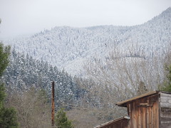 Snow over the barn