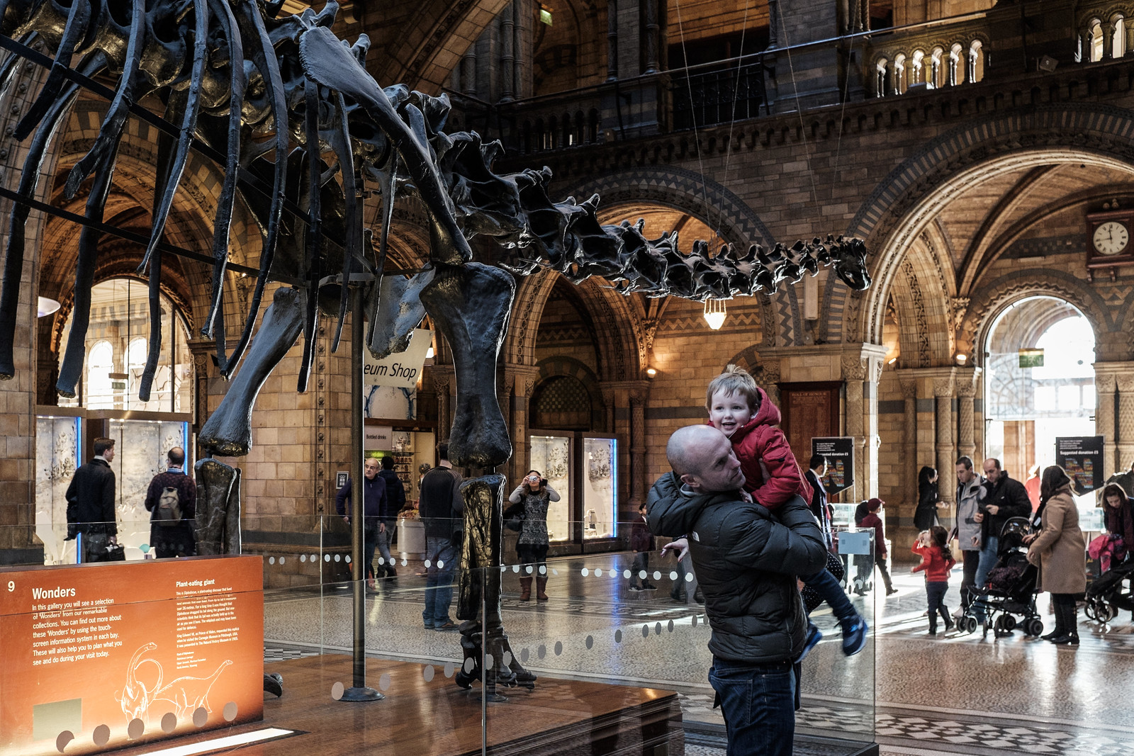 Travel and Photography | Diplodocus | London Natural History Museum