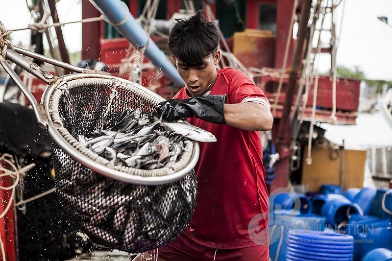 Fishing in thailand the issue of overfishing human trafficking and forced labor