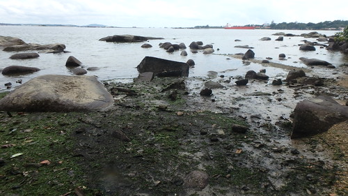 Sungei Ubin after oil spill in Johor Strait, Jan 2017
