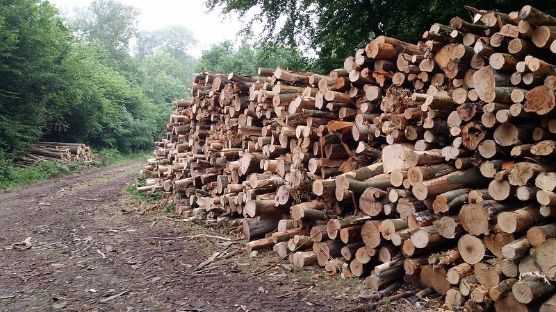 Logging operations #sh