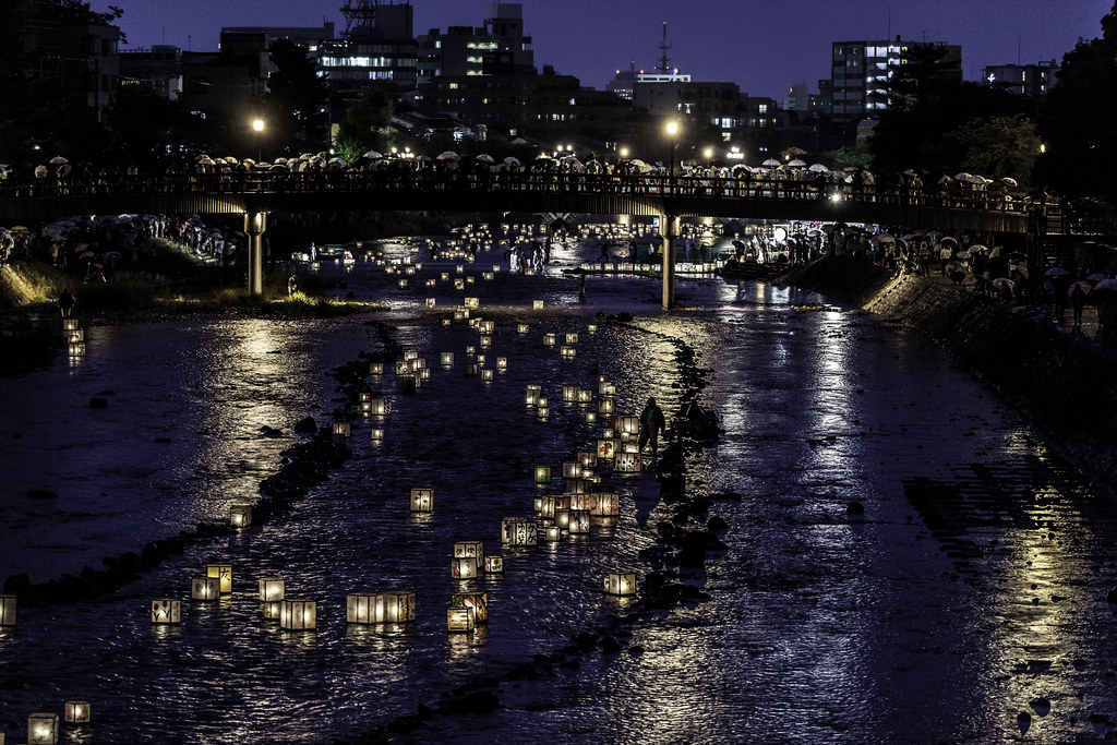 浅野川燈籠流し2015-4