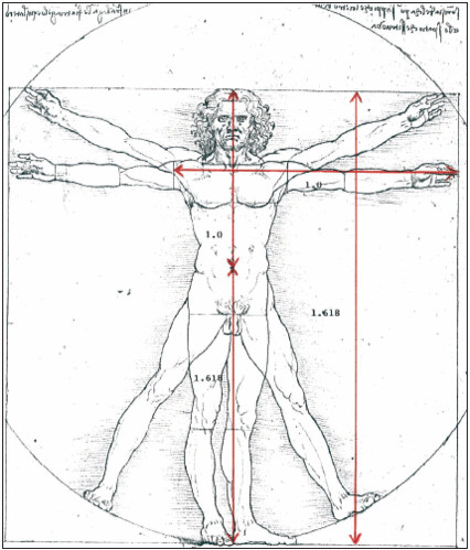 Da Vinci 1.618 | Leonardo Da Vinci's Vitruvian Man displayin… | Flickr