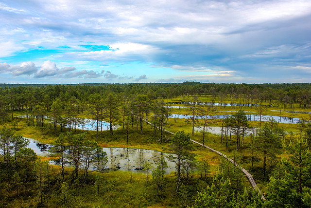 Parque nacional de Lahemaa en Estonia