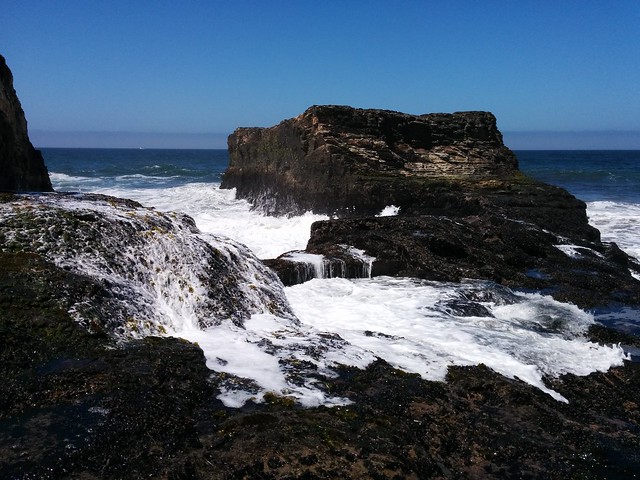 High Tide Brings an End to Tidepooling