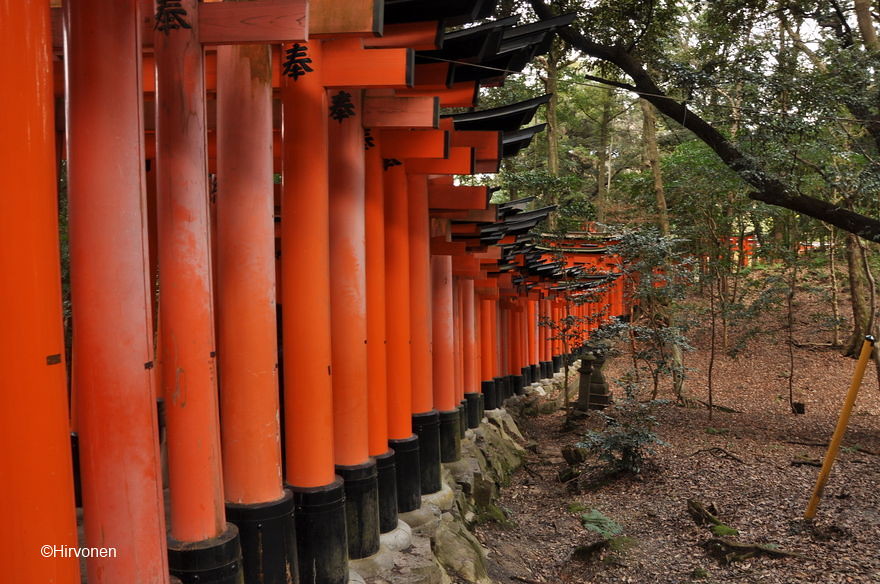 Tarinoiden Inari