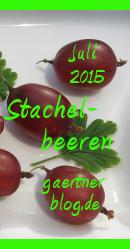 Garten-Koch-Event Juli: Stachelbeeren